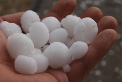 GENERALI Ratgeber Hagel