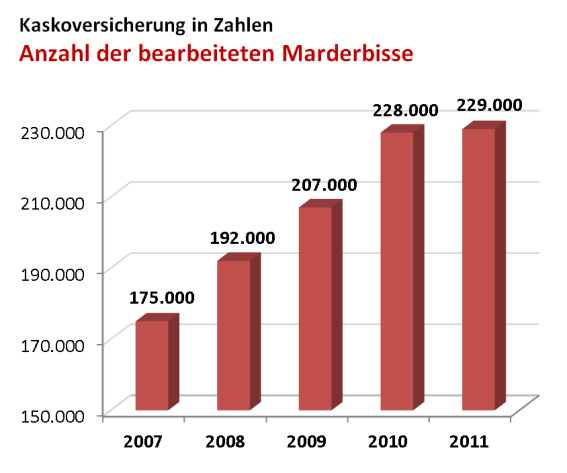 Grafik Marderbisse 