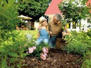 W&uuml;stenrot Generationen 